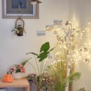 13월의 제주 이미지