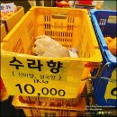 서귀동-31 이미지