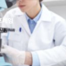 더블유지시스템 이미지