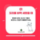 소통동물병원 이미지