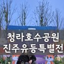 바울플라워 | 청라호수공원 전주 유등축제 강아지랑 다녀온 후기🐶 야경 산책 코스 추천!