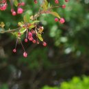 정봉농장 이미지