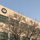 예원수학학원 | 성큼성큼 4월