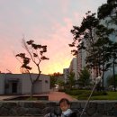 서대감족발보쌈 이미지