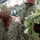 서울화원 이미지