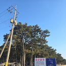 전북 고창 서해 노을 끝판왕! 구시포 노을 캠핑장 차박 솔직 후기(팁/릴선/매너타임)