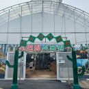 자연과아이들 | 포천 아이와 함께 가볼만한 곳 예술정원1999 자연예술테마파크 아이들과 다녀온 후기