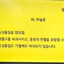 댕댕대학 간식학과 이미지