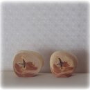 선배농장 이미지