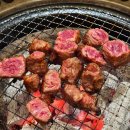 (주)갈비명가소들녘 | 처인구 양지 맛집 ,양지 IC 근처 부모님 모시고 가기 좋은 소고기 찐맛집 소들녘 솔직후기