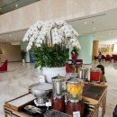 노아 | 11월 베트남 우기 나트랑 여행 셀렉텀노아 후기