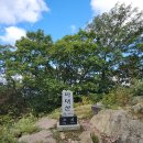 외씨버선길 | 영월 마대산/외씨버선길 12코스 일부 (2024.9.24)