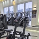 디클리셰 이미지