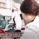 씨에스에프 이미지