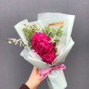 그린플라워앤가든 이미지