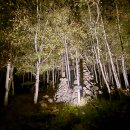 오토오아시스 우리점 | [18] 오아시스 정글 『강원 인제군』