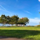 오십천 파크골프장 이미지