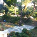 큰소낭 작은돌집 이미지