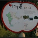 사과꽃 향기는 바람 이미지