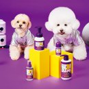 댕댕이집 이미지