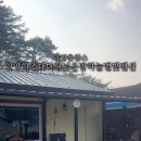 양양하조대마당넓은밤하늘별빛펜션