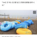 &#34;여기서 치킨 먹지 마&#34;평상갑질 터진 제주 해수욕장 이미지