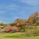 기린골프아카데미 이미지