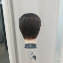 위그웨어 이미지