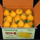 정정농장 이미지