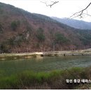 동강자연애 이미지