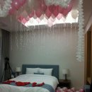 라카이샌드파인 이미지