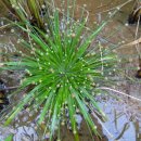 곡정초등학교 이미지