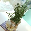 제주펜션 모이헤이 이미지