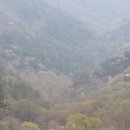 내서읍149 이미지