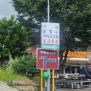 쌍계사 여행 후기:사진과 함께 보는 산사 힐링 여행