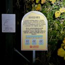 창선치안센터 이미지