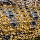 힐링스케치 이미지