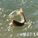 취병낚시터 이미지