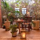 오병이어농장 | 제주도 2박 3일 여행 ( 우진해장국, 달빛에 구운 고등어, 큰엉해안경승지, 한반도, 카페 그리울땐제주...