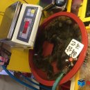 성진자동차서비스 이미지