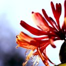 한가한오후 이미지