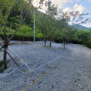 은하수 관광농원 이미지