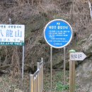 팔용동서식품 이미지