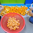 태안태권도장 이미지