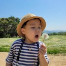 용인 목장체험 농도원 목장 내돈내산 후기