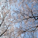 한예종영재발레학원 이미지