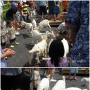 우리목장(1) 이미지