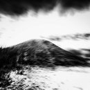 아트뮤지엄 려 이미지