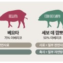 누굴돼지로아나 이미지