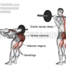 굿모닝GYM 이미지